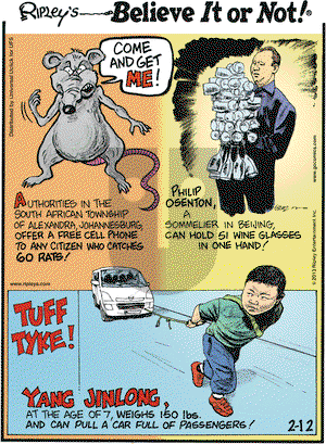 Ripley's Believe It or Not on Tuesday February 12, 2013 Comic Strip