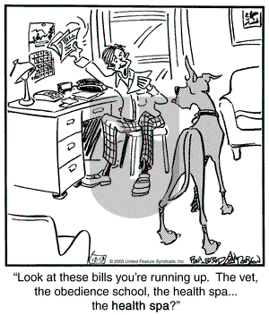 Marmaduke on Tuesday December 13, 2005 Comic Strip