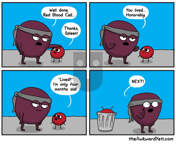 The Awkward Yeti on Monday October 21, 2019 Comic Strip