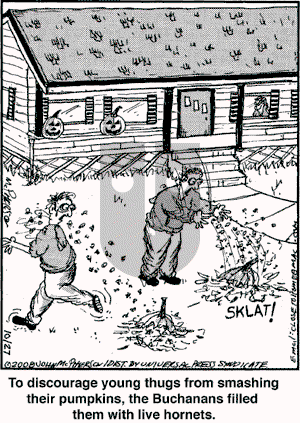 Close to Home on Monday October 27, 2008 Comic Strip