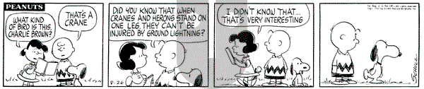 Peanuts on Monday August 26, 1963 Comic Strip