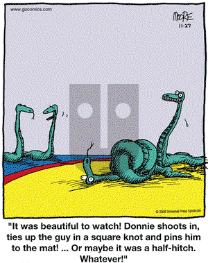 In the Bleachers on Thursday November 27, 2008 Comic Strip
