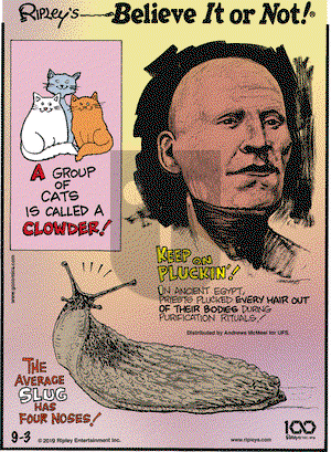Ripley's Believe It or Not on Tuesday September 3, 2019 Comic Strip