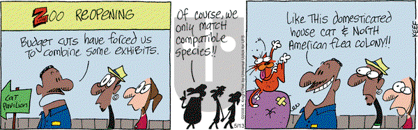 The Knight Life on Tuesday May 13, 2014 Comic Strip