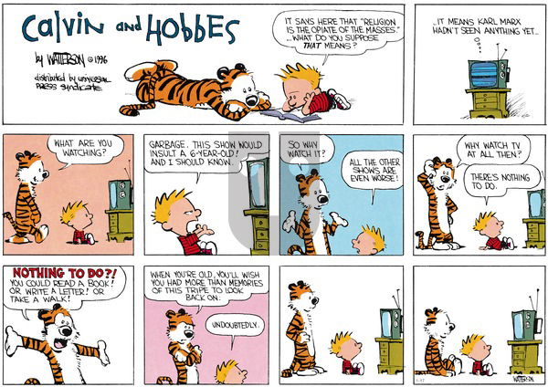 Calvin and Hobbes - Sunday January 17, 2016 Comic Strip
