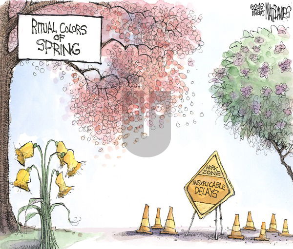 Matt Davies on Sunday April 24, 2016 Comic Strip