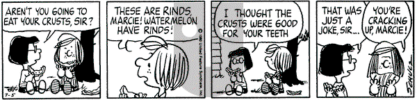 Peanuts on Saturday July 5, 1980 Comic Strip