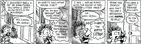 Heart of the City on Tuesday June 6, 2000 Comic Strip