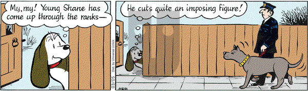 Fred Basset on Tuesday March 5, 2013 Comic Strip