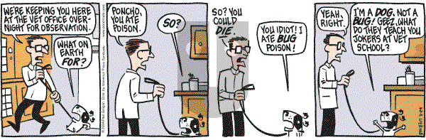 Pooch Cafe on Monday May 24, 2004 Comic Strip