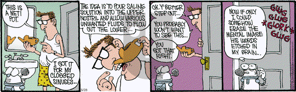 Monty on Monday May 28, 2018 Comic Strip