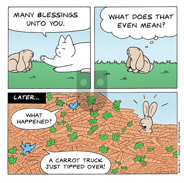 Snow Sez on Monday August 19, 2024 Comic Strip