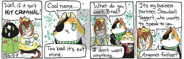 Breaking Cat News - Saturday December 7, 2024 Comic Strip