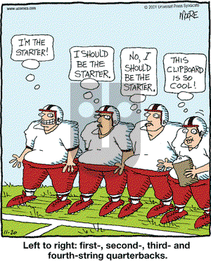 In the Bleachers on Tuesday November 20, 2001 Comic Strip