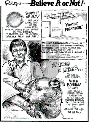 Ripley's Believe It or Not on Tuesday July 26, 2005 Comic Strip
