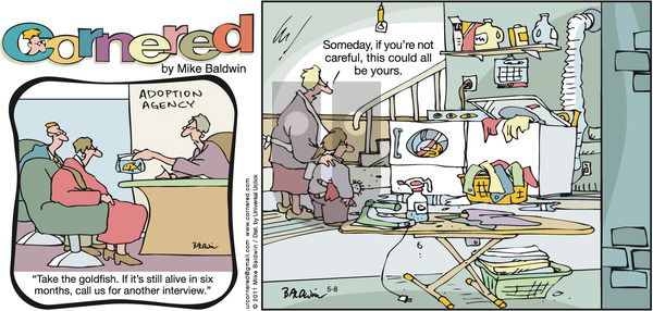 Cornered on Sunday May 8, 2011 Comic Strip