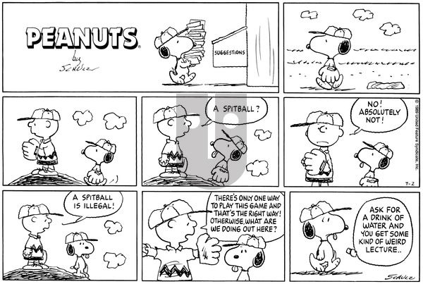 Peanuts on Sunday July 2, 1989 Comic Strip