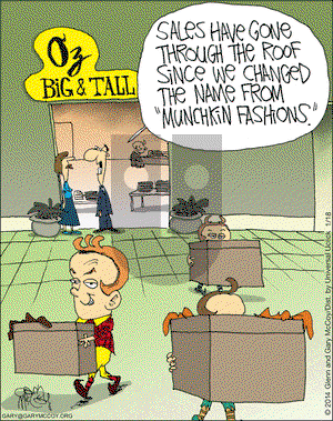 The Flying McCoys on Saturday January 18, 2014 Comic Strip