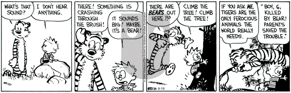 Calvin and Hobbes - Wednesday June 19, 2024 Comic Strip