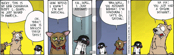 Get Fuzzy - Friday June 20, 2008 Comic Strip