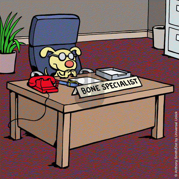 Cattitude — Doggonit on Tuesday June 10, 2025 Comic Strip