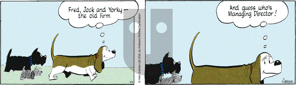 Fred Basset on Thursday May 8, 2025 Comic Strip