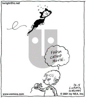 Kit 'N' Carlyle on Tuesday January 1, 2002 Comic Strip