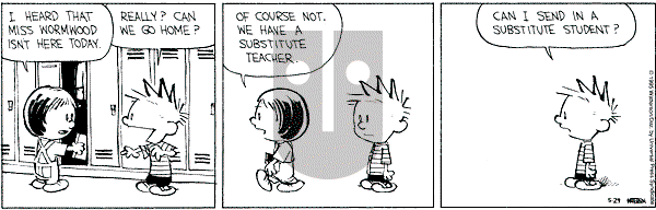 Calvin and Hobbes - Monday May 29, 1995 Comic Strip