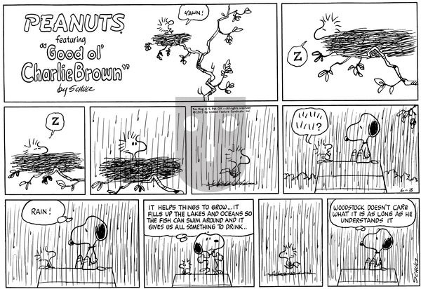 Peanuts on Sunday June 3, 1973 Comic Strip