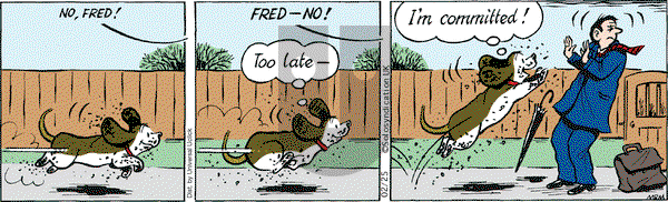 Fred Basset - Tuesday February 25, 2014 Comic Strip