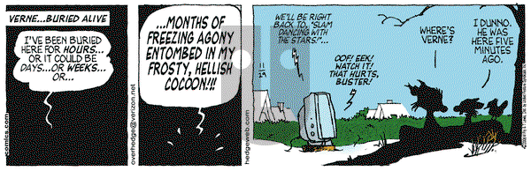 Over the Hedge on Wednesday November 29, 2006 Comic Strip