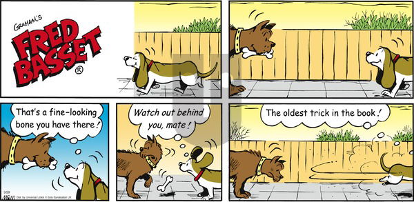Fred Basset on Sunday March 29, 2015 Comic Strip