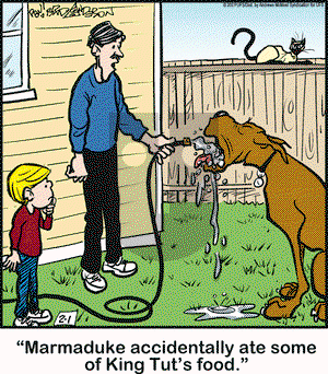 Marmaduke on Friday February 1, 2019 Comic Strip