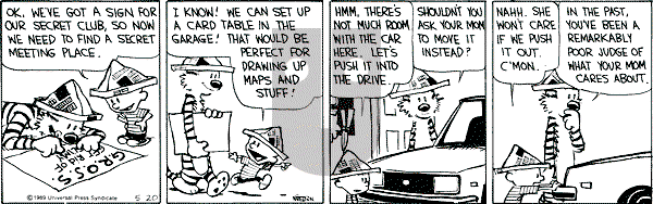 Calvin and Hobbes - Saturday May 20, 1989 Comic Strip
