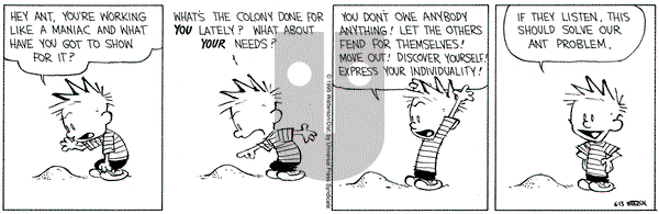 Calvin and Hobbes on Tuesday June 13, 1995 Comic Strip