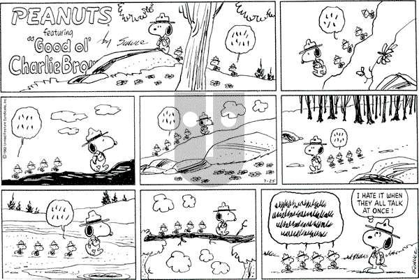 Peanuts - Sunday July 25, 1982 Comic Strip