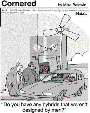 Cornered on Saturday June 28, 2008 Comic Strip