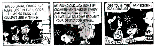 Peanuts on Tuesday May 28, 1991 Comic Strip