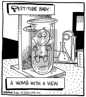 Reality Check on Tuesday May 20, 2003 Comic Strip