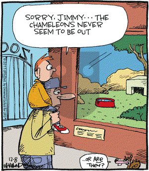 Reality Check on Thursday December 8, 2011 Comic Strip