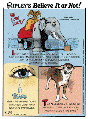 Ripley's Believe It or Not on Wednesday April 23, 2025 Comic Strip