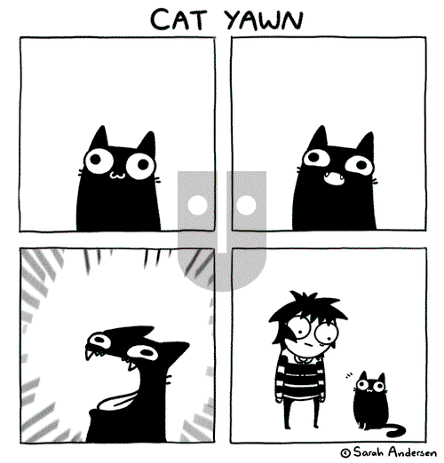 Sarah's Scribbles - Saturday December 11, 2021 Comic Strip