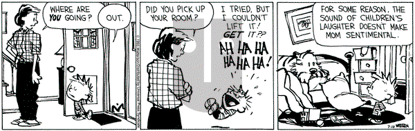Calvin and Hobbes on Saturday July 10, 1993 Comic Strip