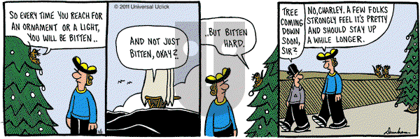 Overboard on Saturday January 1, 2011 Comic Strip