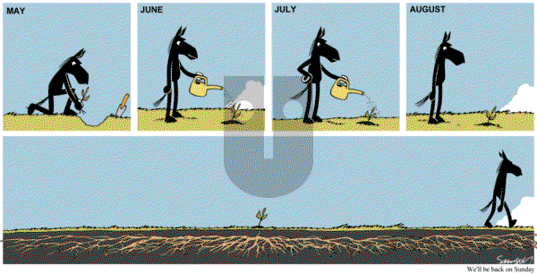 Dark Side of the Horse on Friday August 12, 2016 Comic Strip