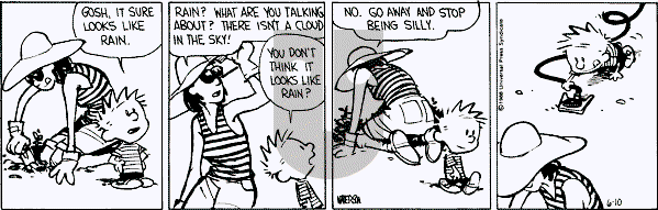 Calvin and Hobbes - Friday June 10, 1988 Comic Strip