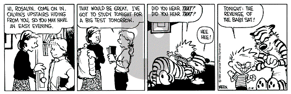 Calvin and Hobbes - Thursday February 9, 1989 Comic Strip