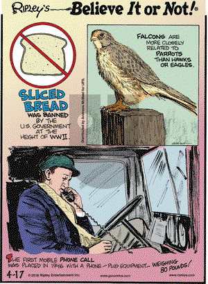 Ripley's Believe It or Not on Tuesday April 17, 2018 Comic Strip