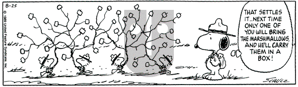 Peanuts on Friday August 25, 1989 Comic Strip