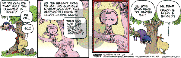 Non Sequitur - Tuesday July 5, 2022 Comic Strip